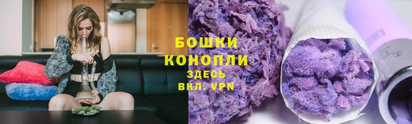 шишки Белокуриха