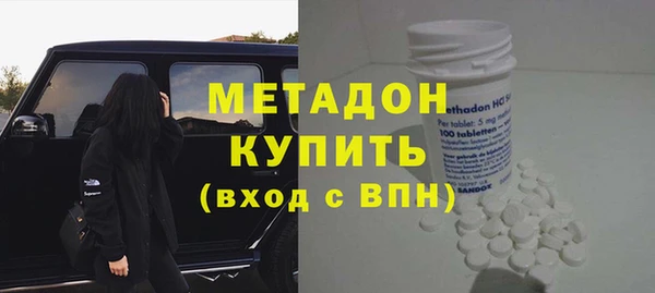 шишки Белокуриха