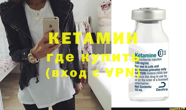 шишки Белокуриха