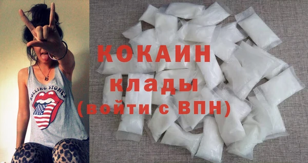 шишки Белокуриха