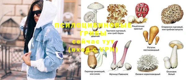 крисы Белоозёрский