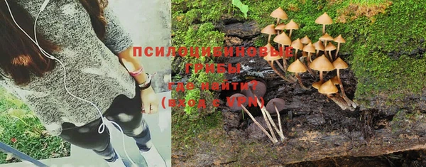 крисы Белоозёрский