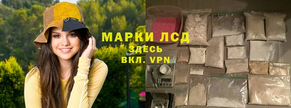 шишки Белокуриха