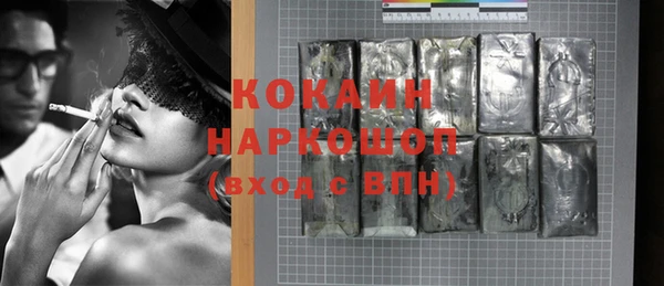 шишки Белокуриха